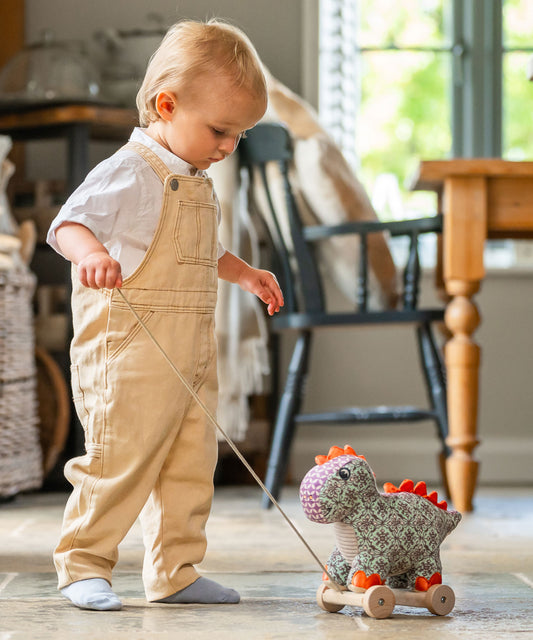 Digley Pull Along Dinosaur for 6 months old