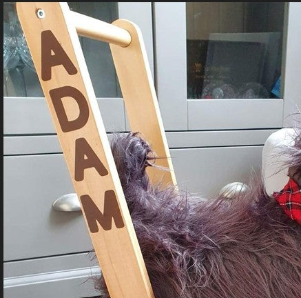 Hubert Highland Cow Walker & Ride On by Little Bird Told Me