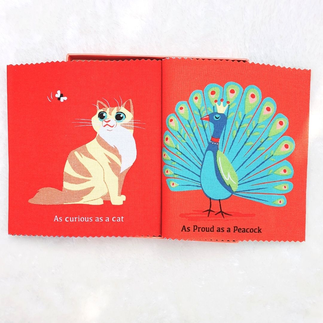 As Brave as a Bear Rag Book in Gift Box