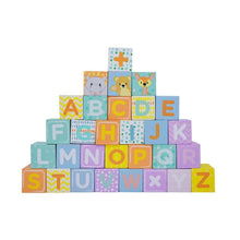 Baby Walker with Blocks - Can be Personalised