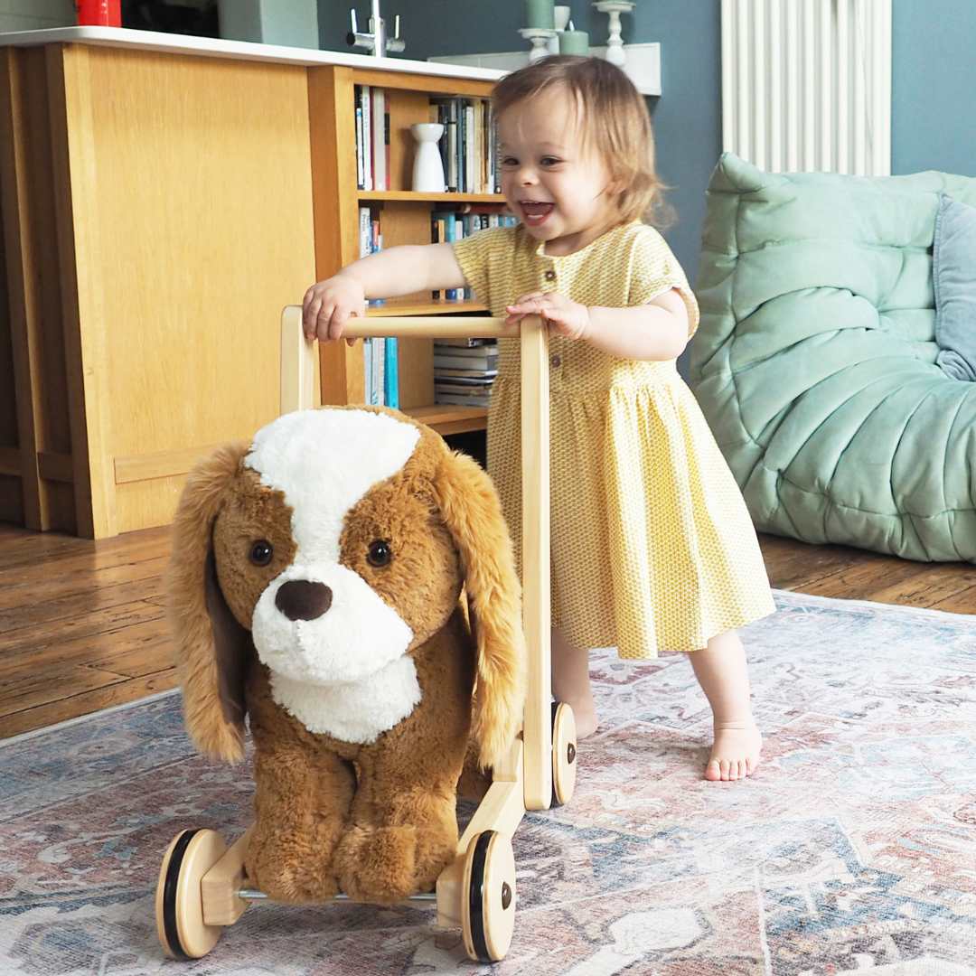 Peanut Dog Walker & Ride On by Little Bird Told Me