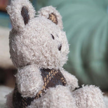 Ted Bear Baby Soft Toy