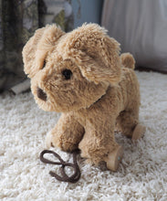 Baby Toys - Dexter Dog Pull Along By Little Bird Told Me