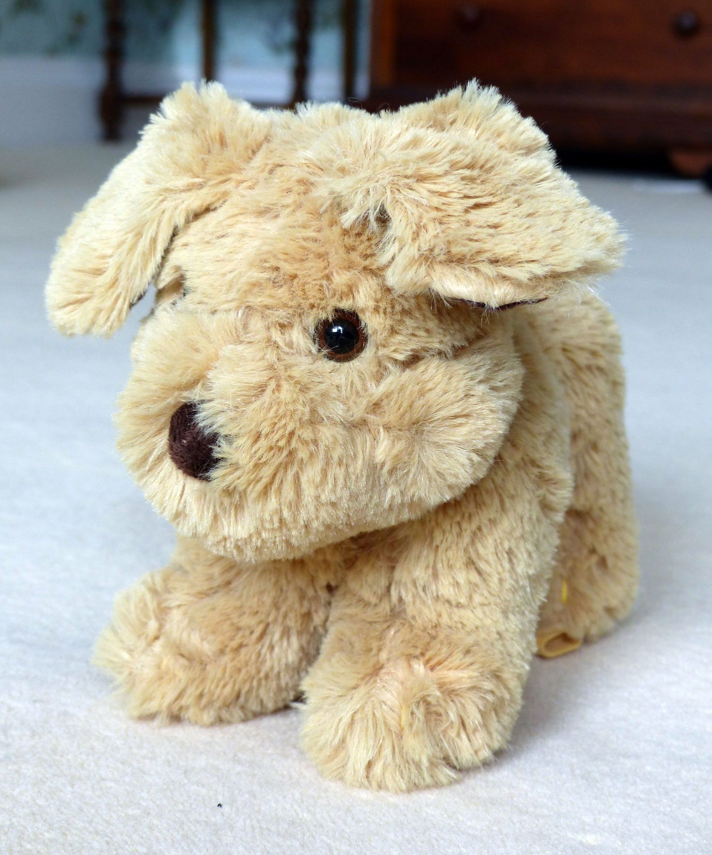 Baby Toys - Dexter Dog Pull Along By Little Bird Told Me