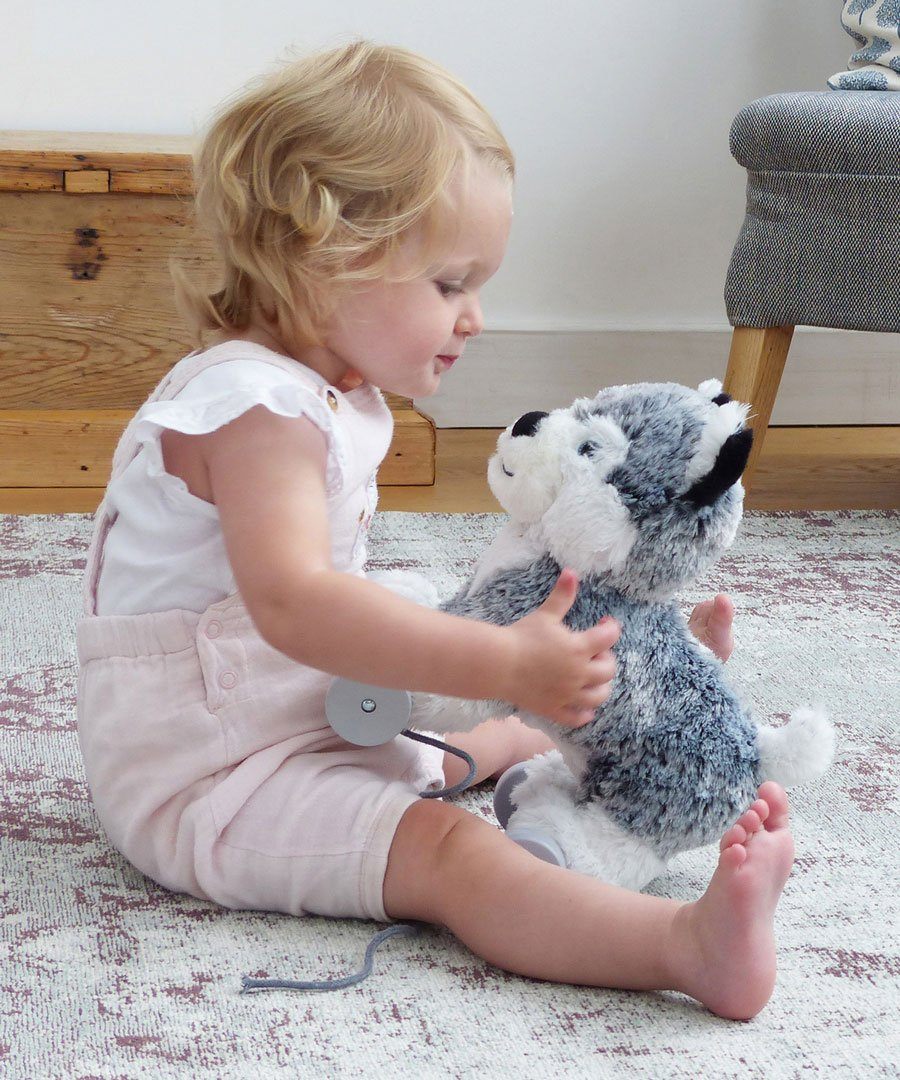 Mishka Dog Soft Pull Along by Little Bird Told Me