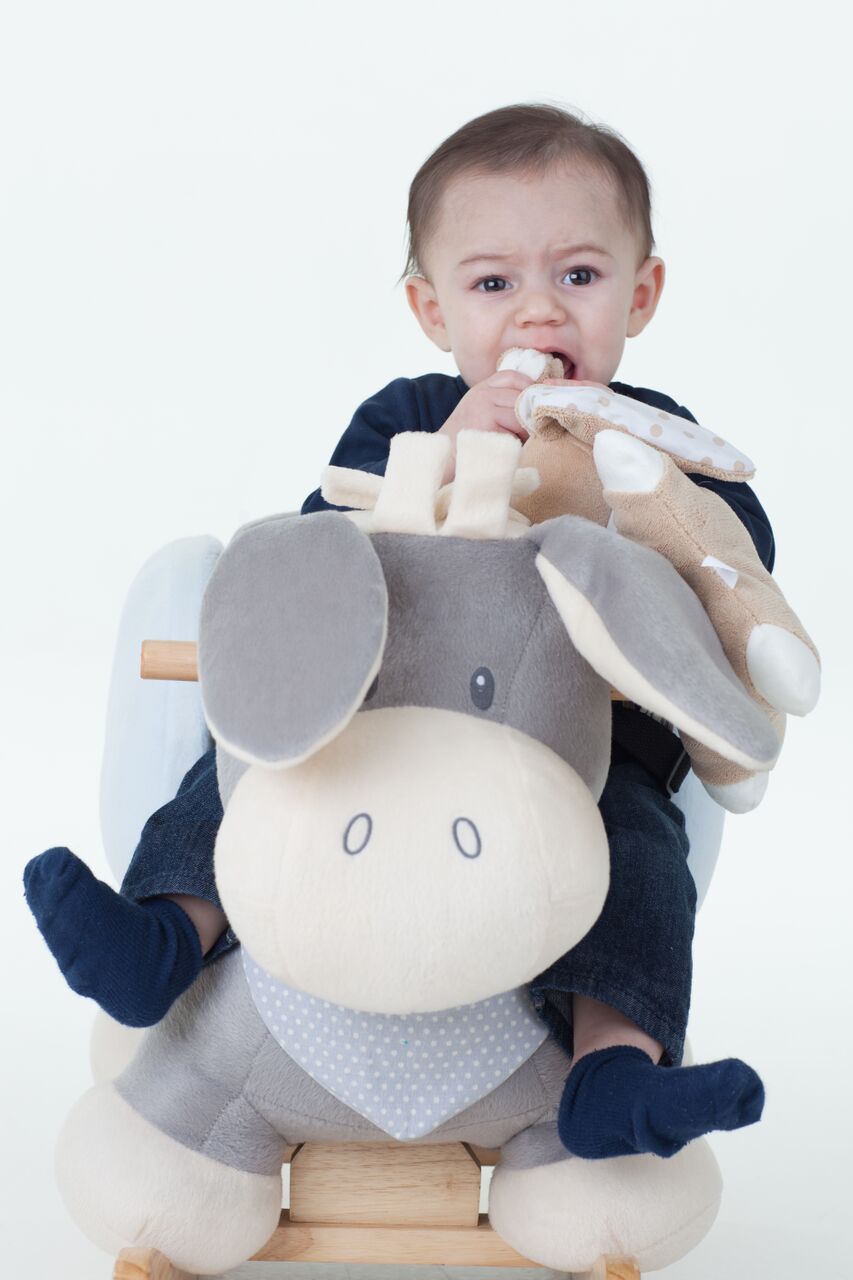 Nattou 'Cappuccino the Donkey' Rocker