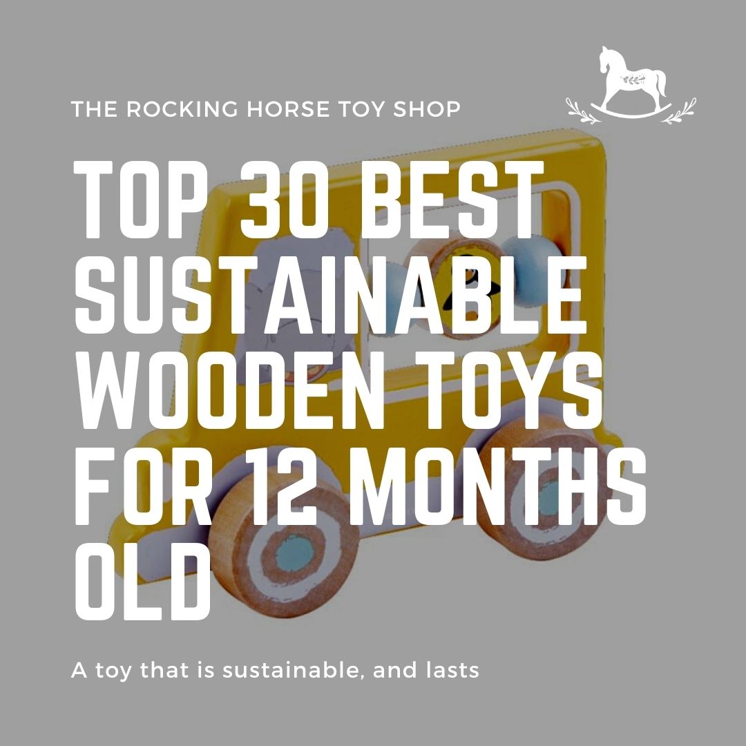 Top 30 Best Sustainable Wooden Toys for 12 months old