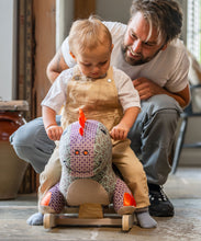 Digley Rocking Dinosaur Animal for 9 months old