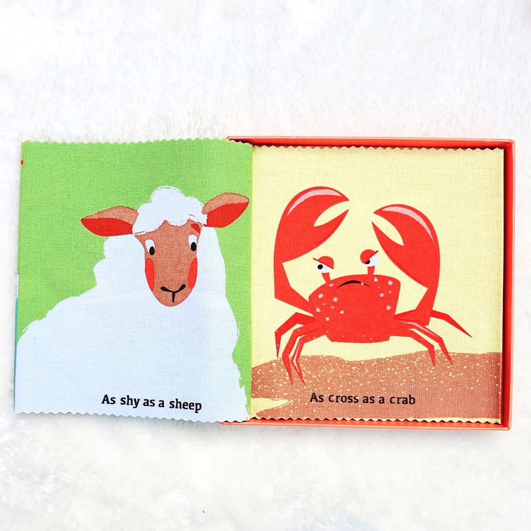 As Brave as a Bear Rag Book in Gift Box