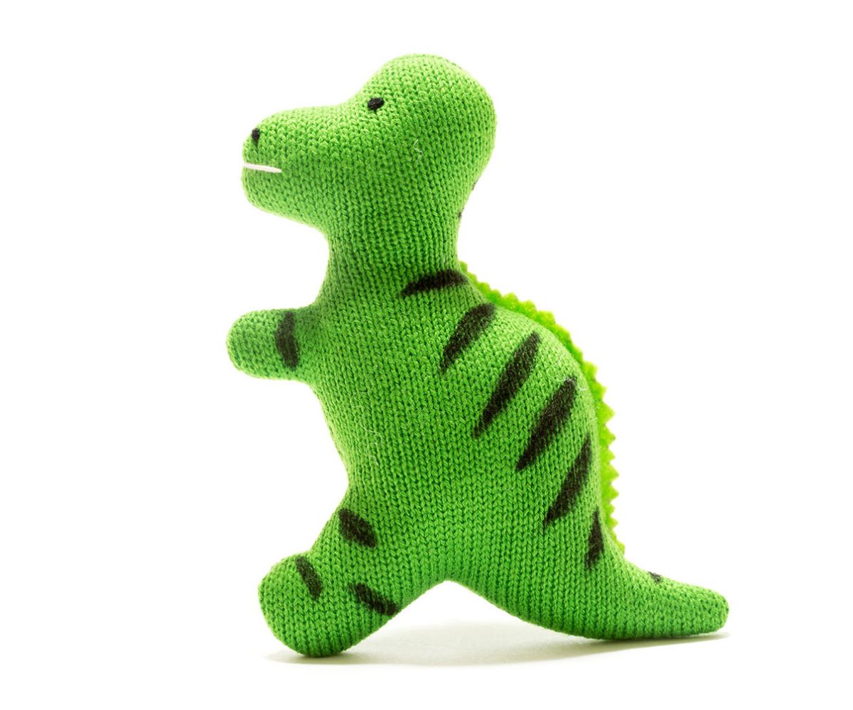 Baby T Rex Dinosaur Sensory Toy for newborn