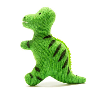 Baby T Rex Dinosaur Sensory Toy for newborn
