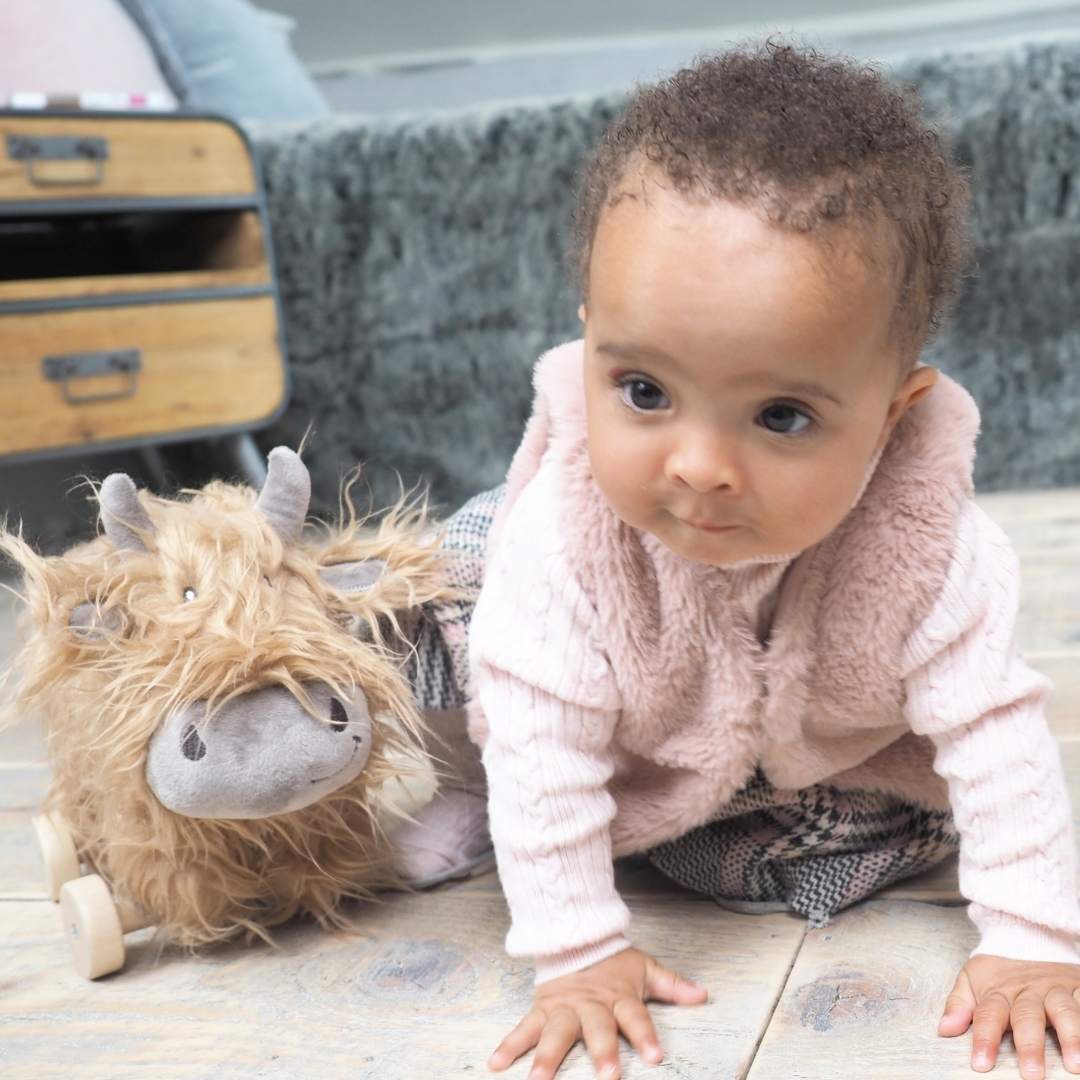 Hubert Pull Along Cow for 6 months old