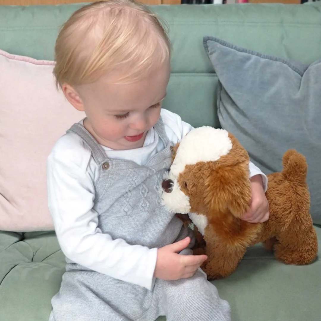 Peanut Dog Pull Along by Little Bird Told Me