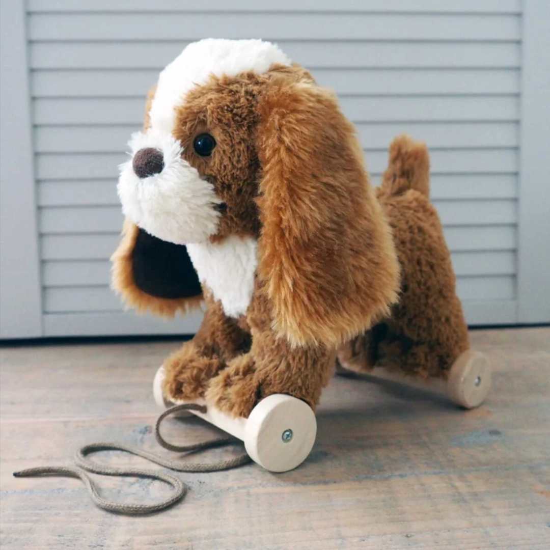 Dog pull along clearance toy