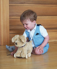 Baby Toys - Dexter Dog Pull Along By Little Bird Told Me