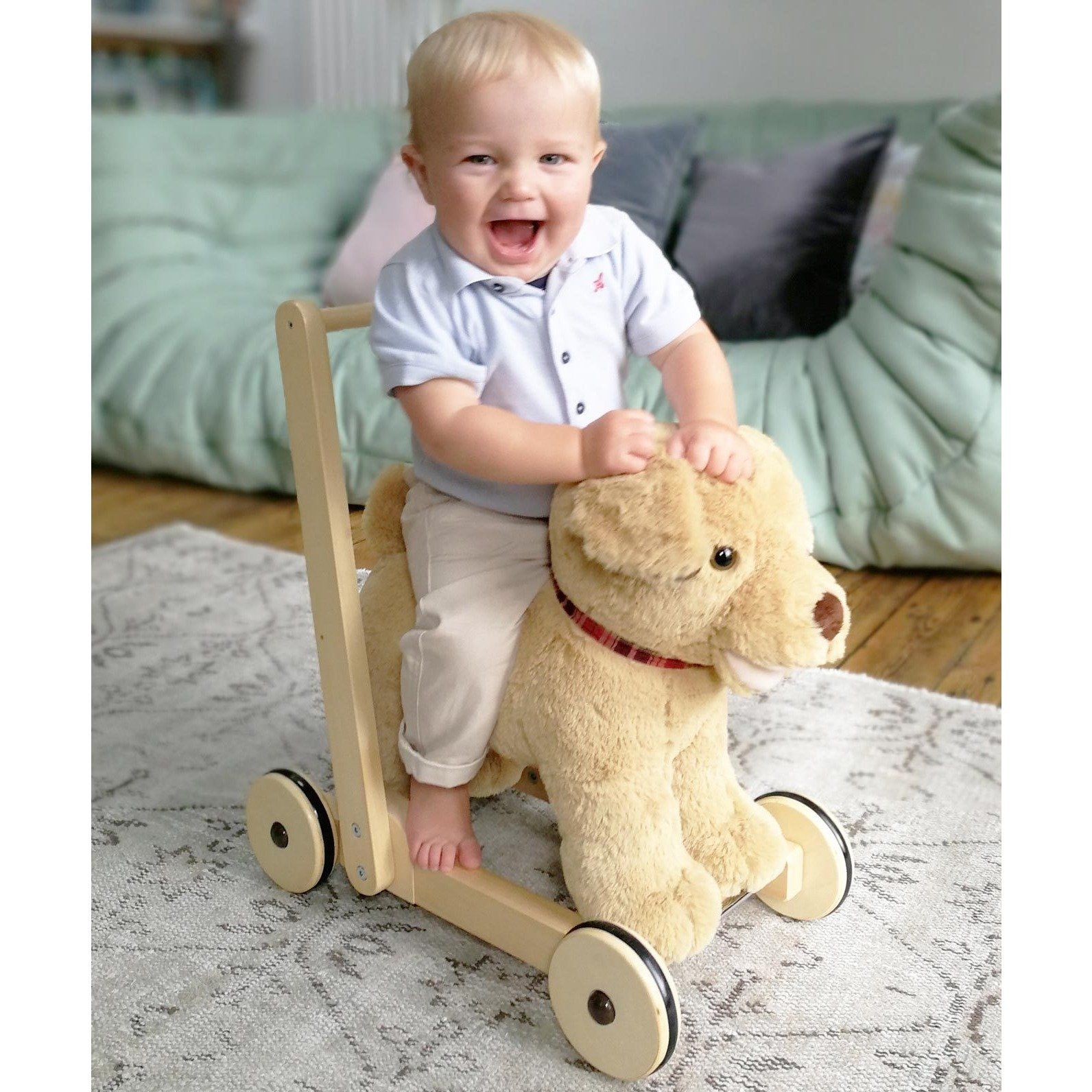 Push Along - Dexter Dog Push Along & Ride-On By Little Bird Told Me