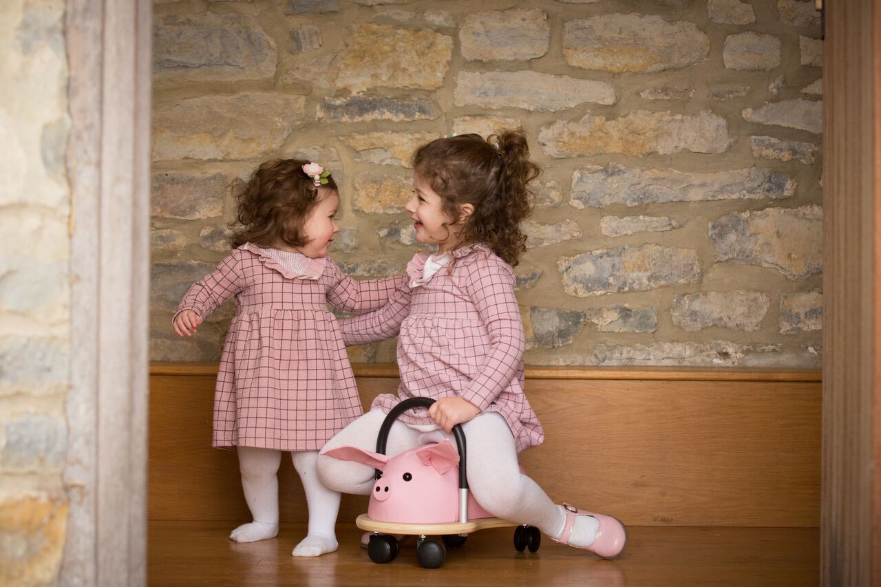 Wheelybug Ride On - Pig